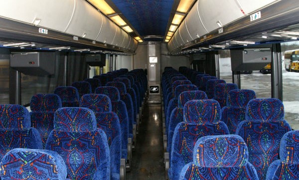 Luxury Shuttle Bus image